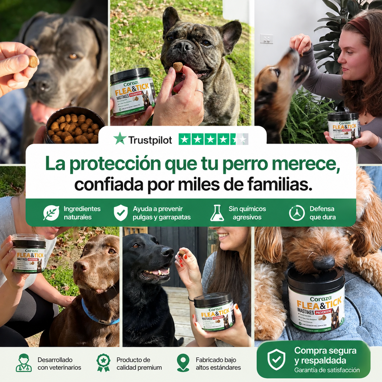 Coraza™ - Cuidado Natural para Perros