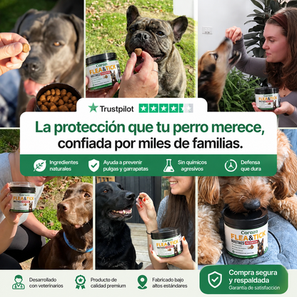 Coraza™ - Cuidado Natural para Perros