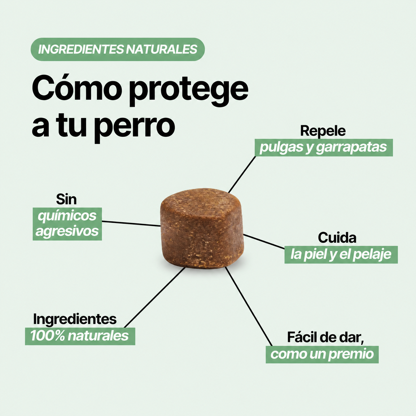 Coraza™ - Cuidado Natural para Perros